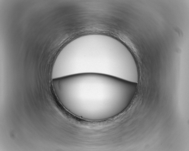 X0000111590021200907161202