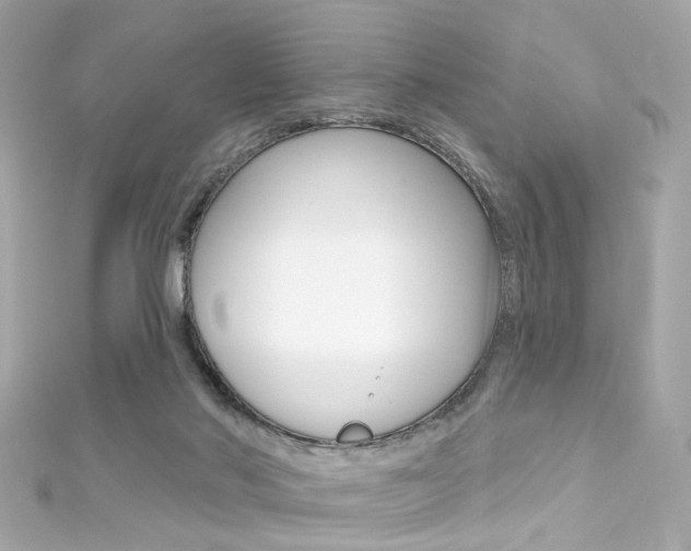 X0000111590022200907161202