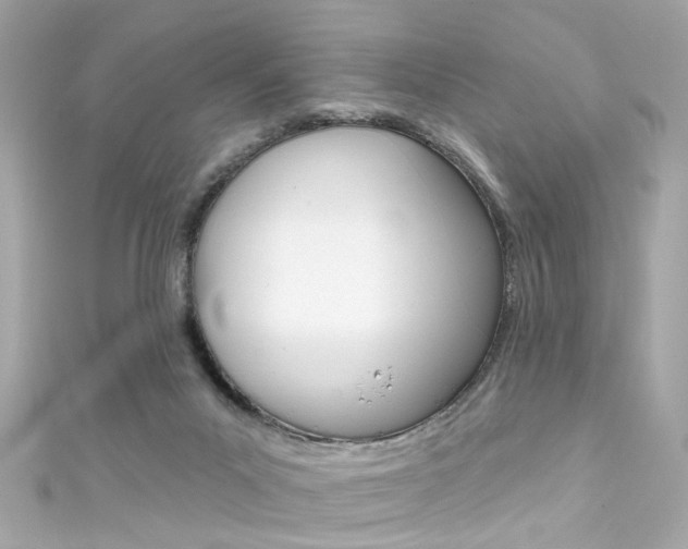 X0000111590023200907161202