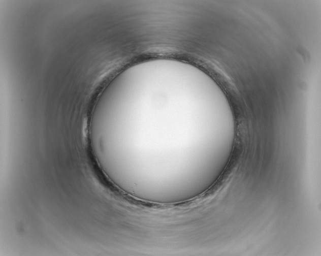 X0000111590024200907161202