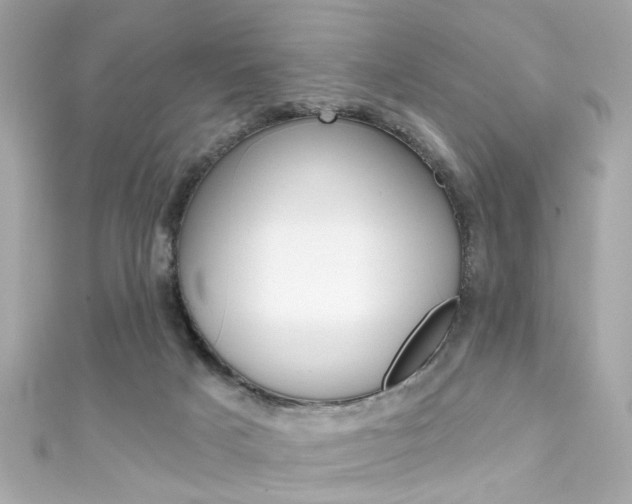 X0000111590025200907161202