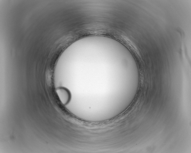 X0000111590026200907161202