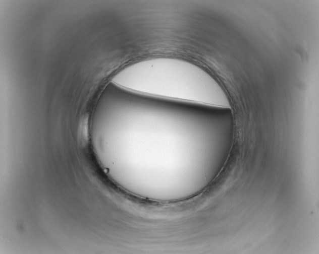 X0000111590028200907161202