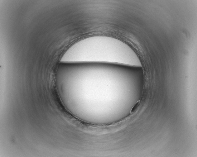 X0000111590029200907161202