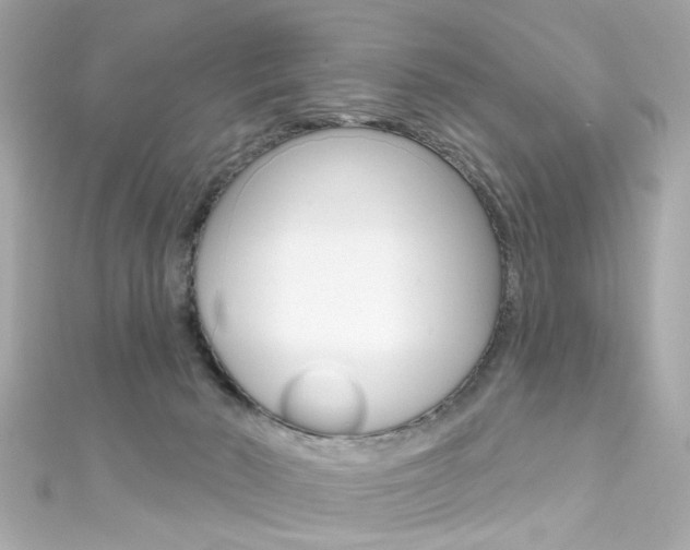 X0000111590030200907161202