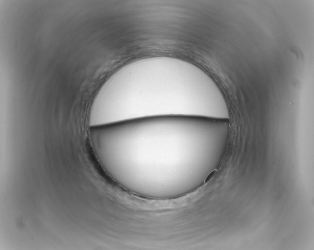 X0000111590031200907161202