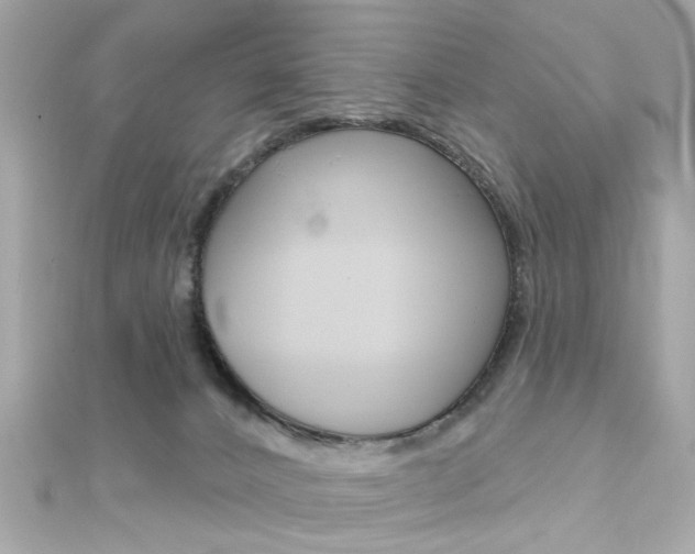 X0000111590032200907161202