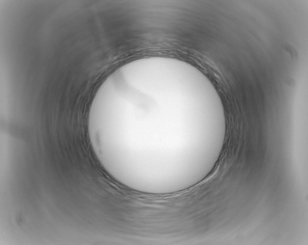 X0000111590033200907161202