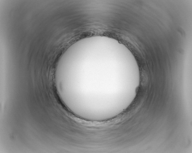 X0000111590034200907161202