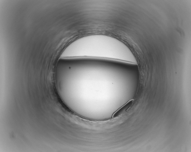 X0000111590035200907161202