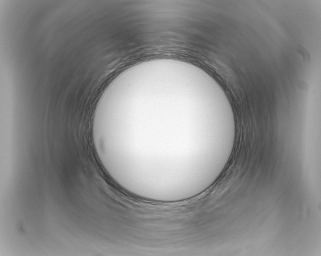 X0000111590036200907161202