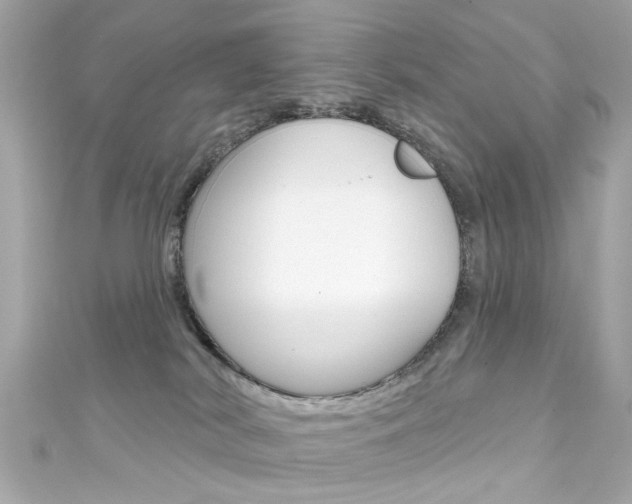 X0000111590038200907161202