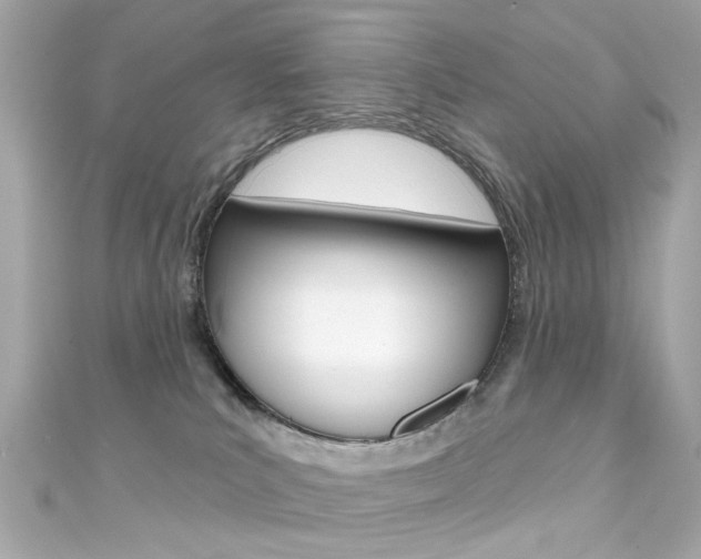 X0000111590039200907161202