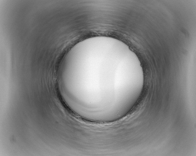 X0000111590040200907161202