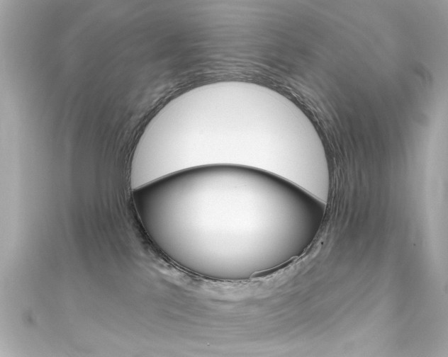 X0000111590041200907161202