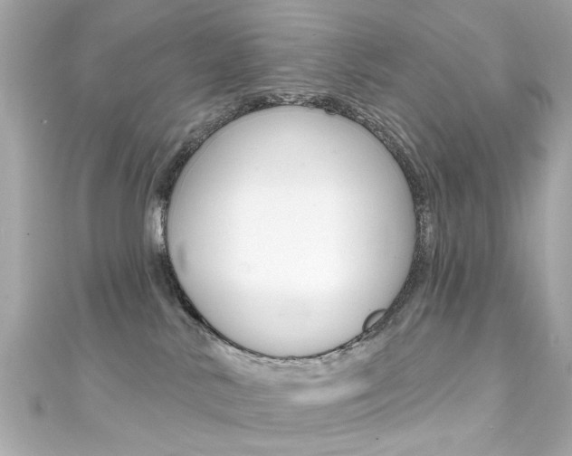 X0000111590042200907161202