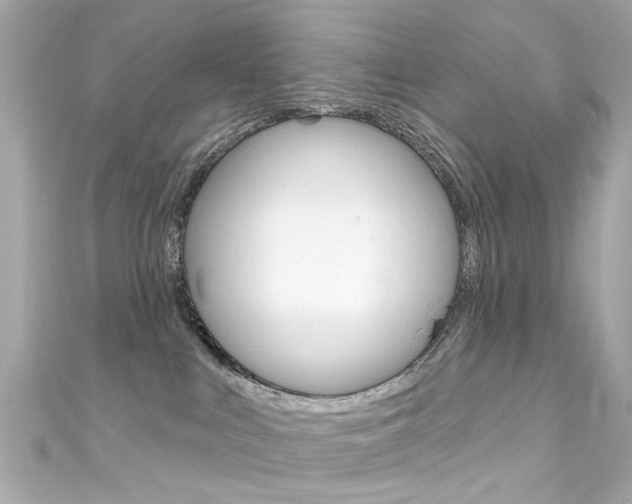 X0000111590043200907161202