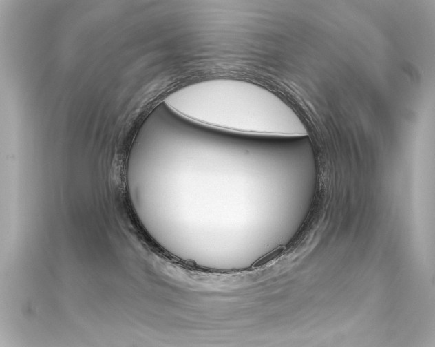 X0000111590044200907161202