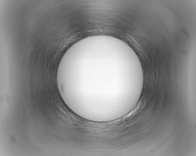 X0000111590045200907161202