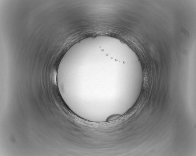 X0000111590046200907161202