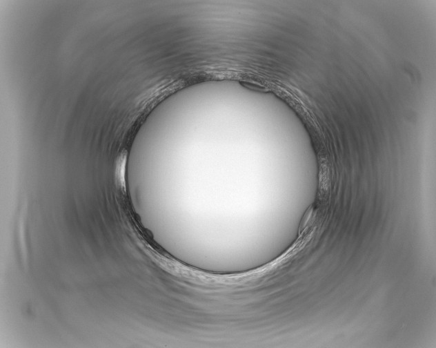 X0000111590047200907161202