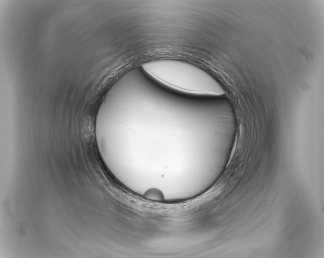 X0000111590048200907161202