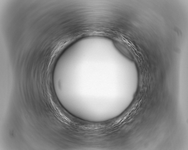 X0000111590049200907161201