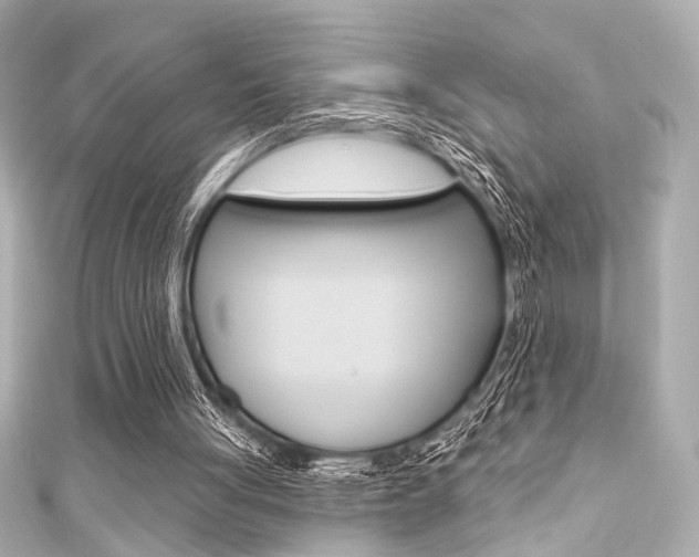 X0000111590051200907161201