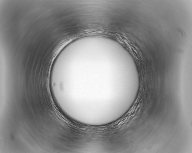 X0000111590052200907161201