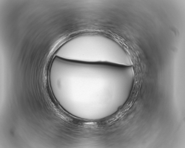 X0000111590053200907161201