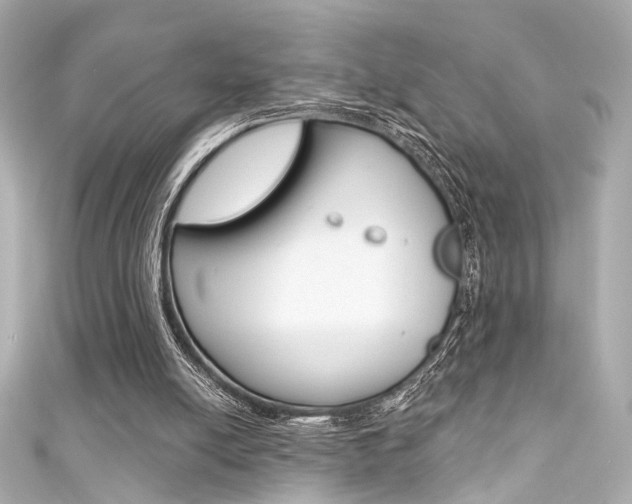 X0000111590054200907161201