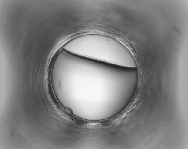 X0000111590055200907161201