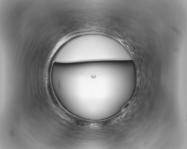 X0000111590056200907161201