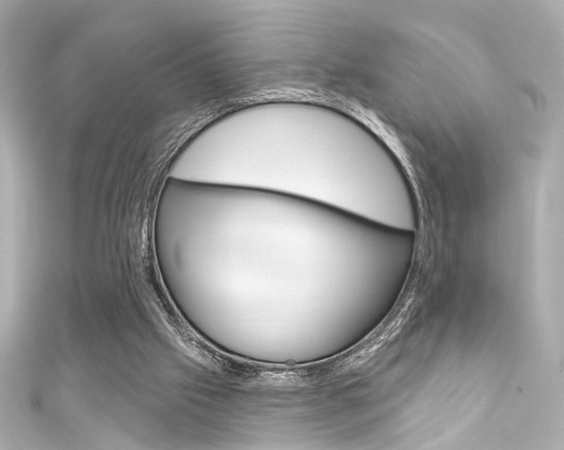 X0000111590057200907161201