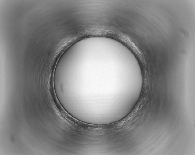 X0000111590058200907161201