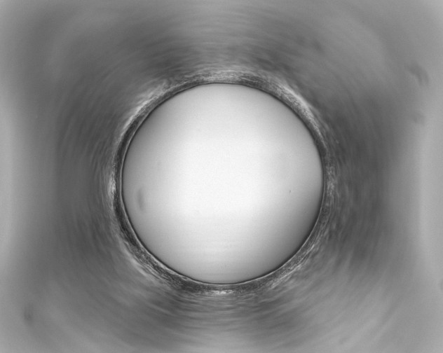 X0000111590059200907161201