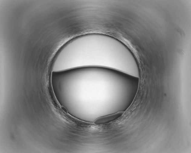 X0000111590060200907161201