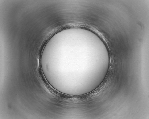 X0000111590061200907161201