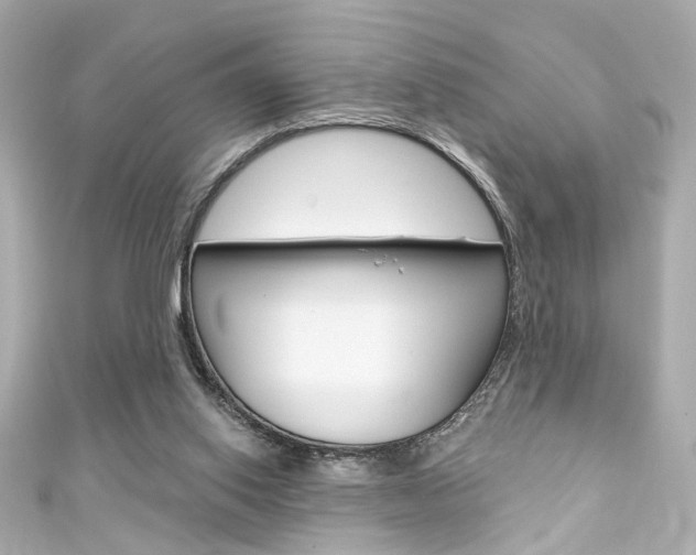 X0000111590062200907161201