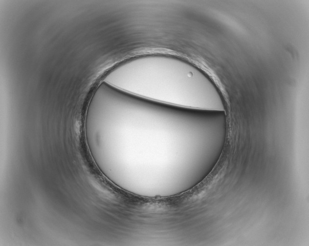 X0000111590063200907161201