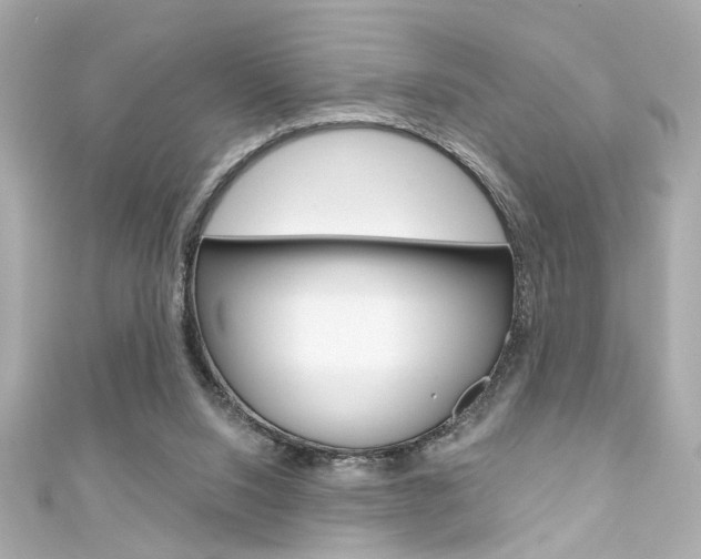 X0000111590064200907161201