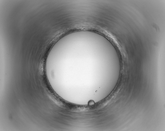 X0000111590065200907161201