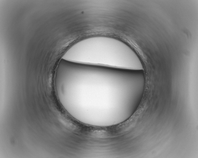 X0000111590066200907161201