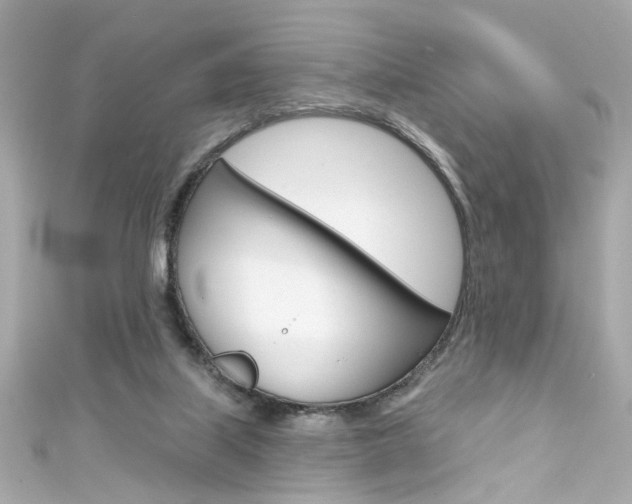 X0000111590067200907161201