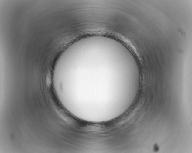 X0000111590069200907161201