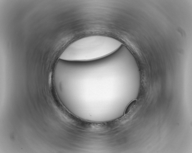 X0000111590070200907161201