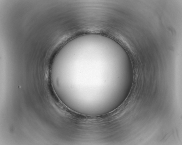 X0000111590072200907161201