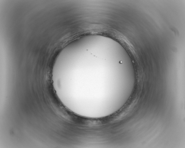 X0000111590073200907161202