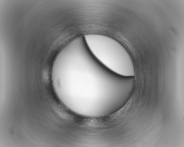 X0000111590074200907161202