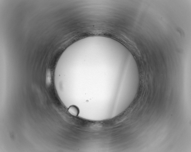 X0000111590075200907161202